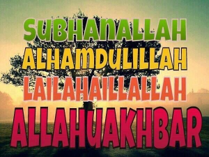 13439108_1747040132178559_7968941352275823125_n